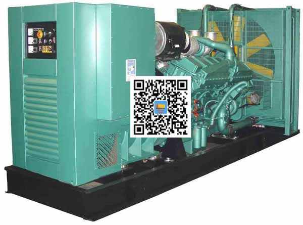 墨脱笼型异步发电机的电力电子控制技术